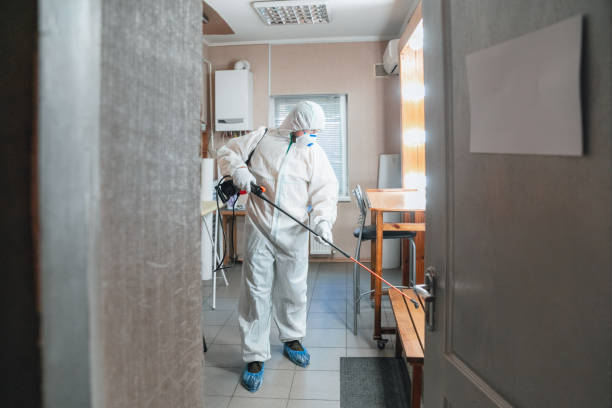 Best Commercial Mold Inspection  in Aiken, SC