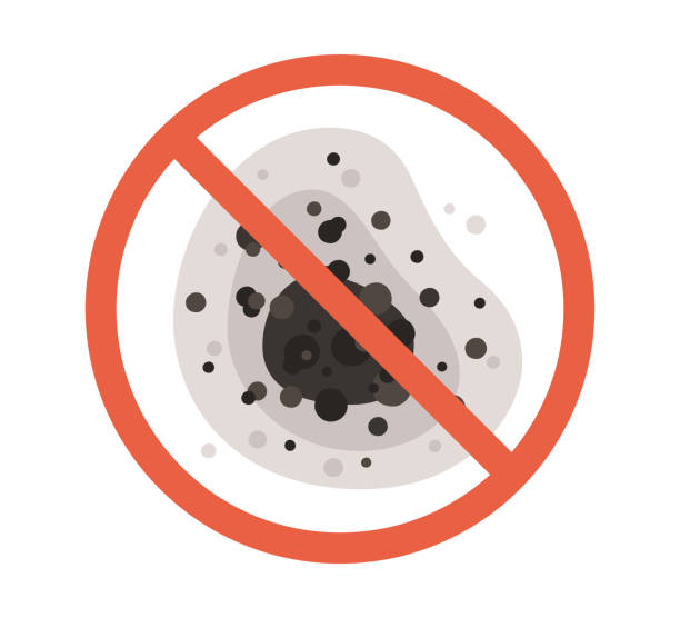 Mold Odor Removal Services in Aiken, SC