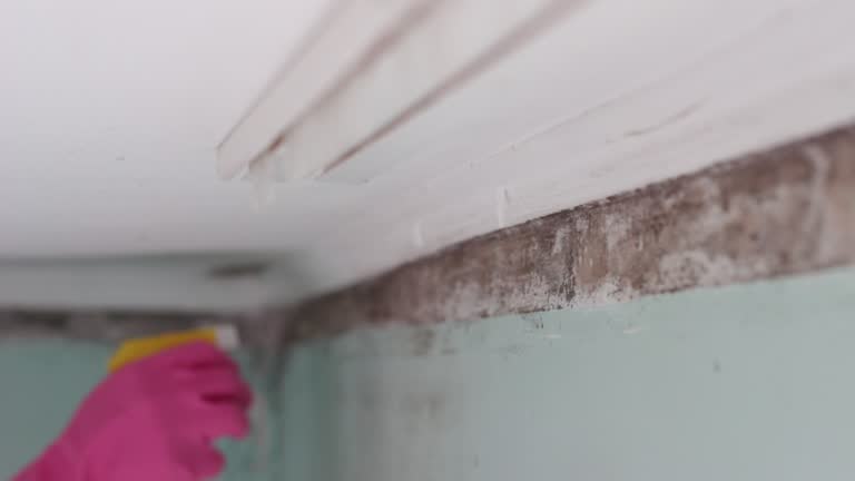 Best Indoor Air Quality Assessment  in Aiken, SC
